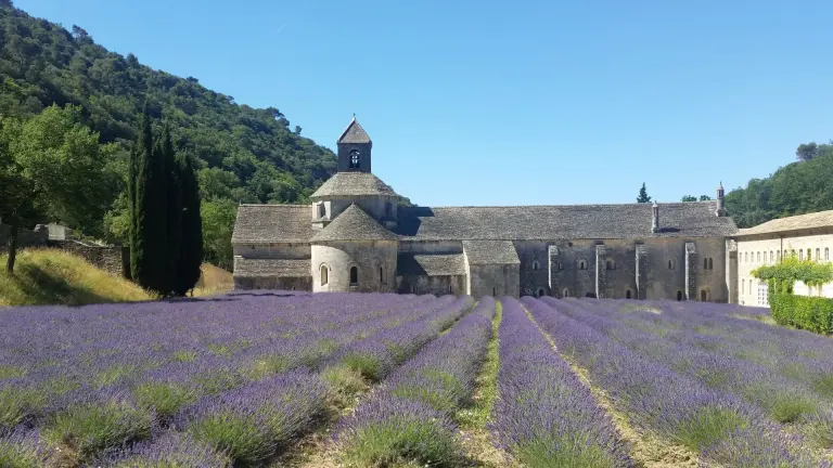 Abbaye, Sénanque, Provence, Lavande